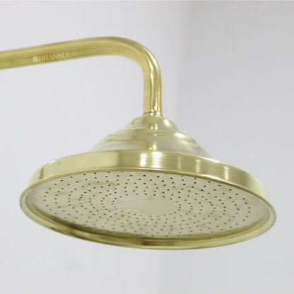Unlacquered Brass Shower Head - Round Shower Head with Arm Extension