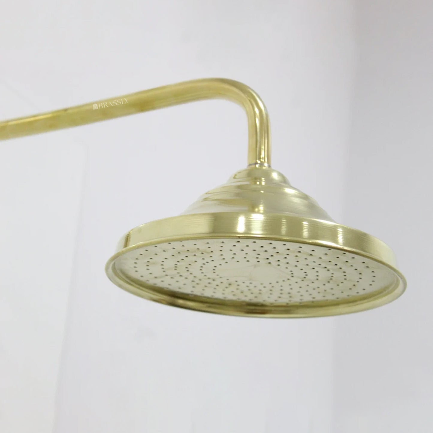 Unlacquered Brass Shower Head - Round Shower Head with Arm Extension
