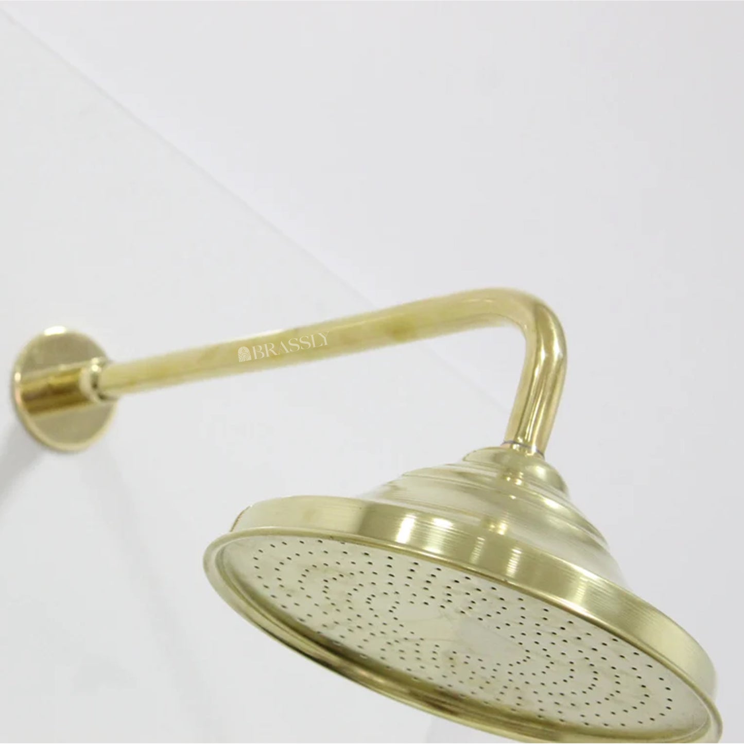 Unlacquered Brass Shower Head - Round Shower Head with Arm Extension