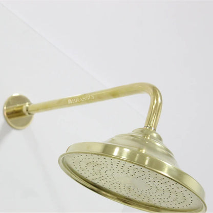 Unlacquered Brass Shower Head - Round Shower Head with Arm Extension